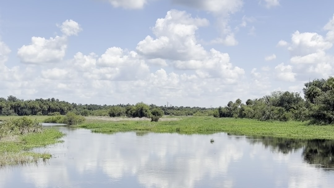 Myakka River