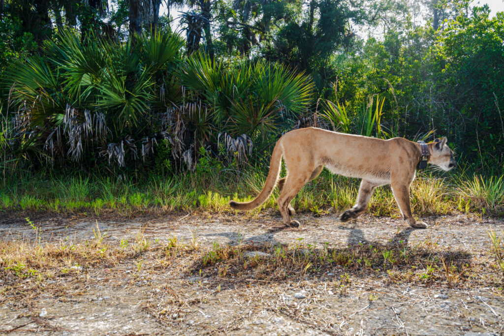 Photos of Fl for The BOG 23