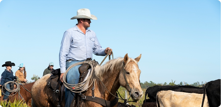 Resources and Guidance