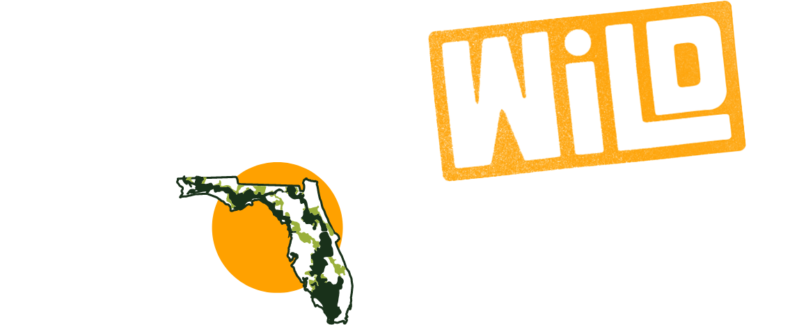 Welcome to Wild Florida