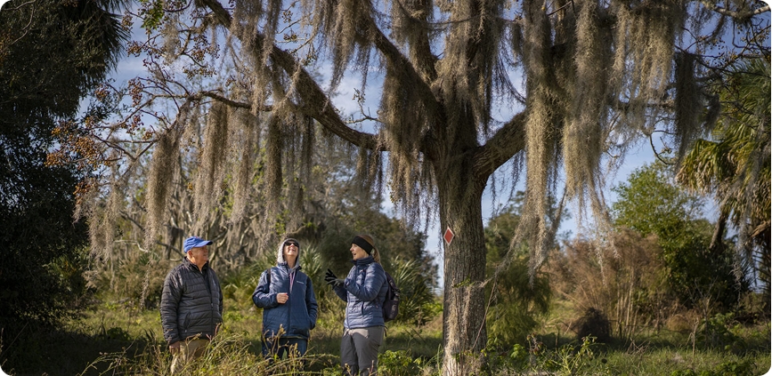 Stories of Wild Florida