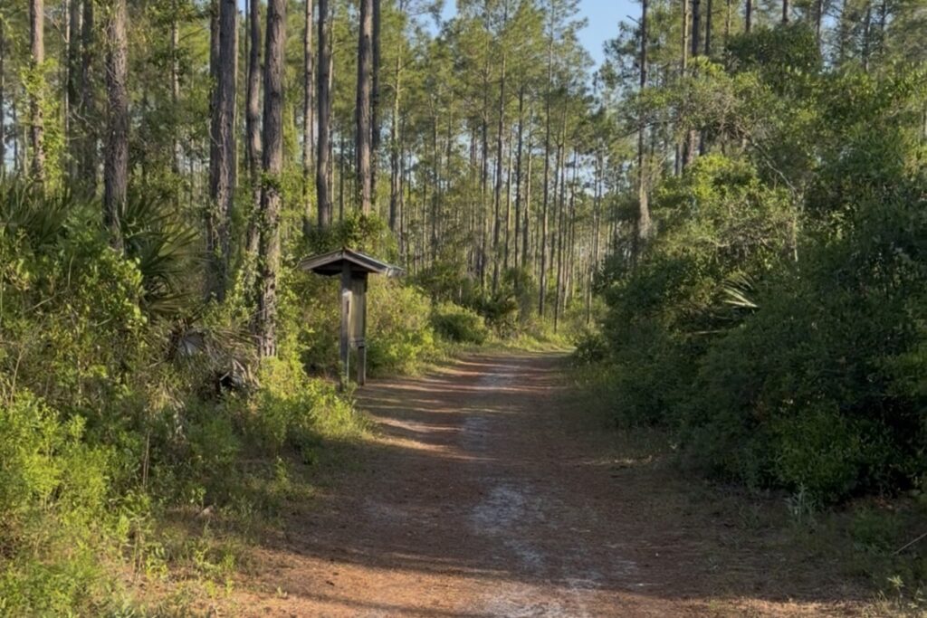 Twelve Mile Swamp Conservation Area