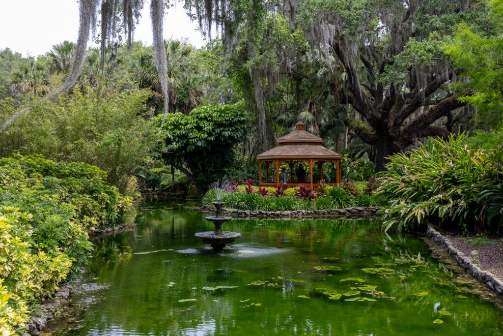 Washington Oaks Gardens State Park Sara Sheehy Camera 1