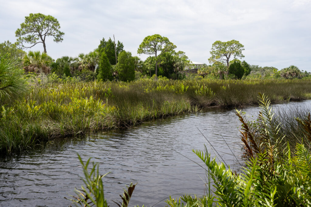 Adventure Guide to Werner-Boyce Salt Springs State Park: Hiking along the Salt Run