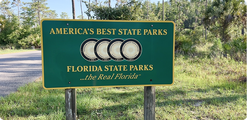 What Makes Florida Wild