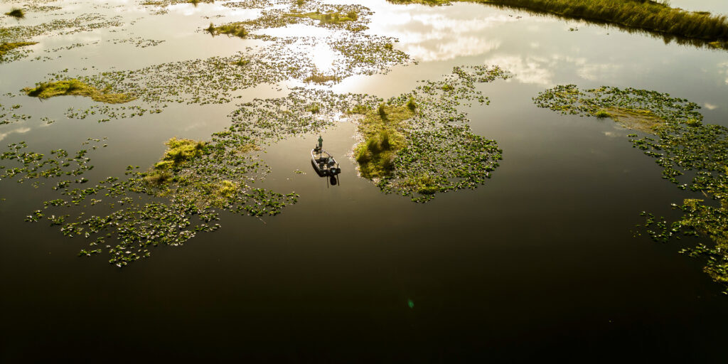 Bass fisherman fishing grass and lilly pads in Florida at sunris