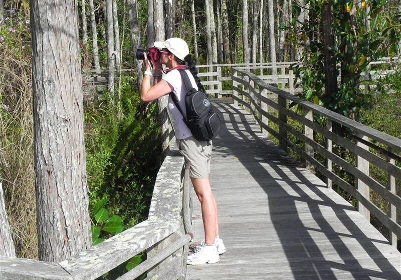 Become a Guest Adventurist