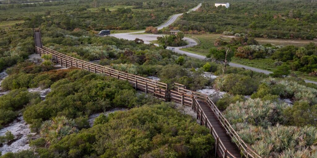 Live Wildly celebrates premier conservation programs this Earth Day