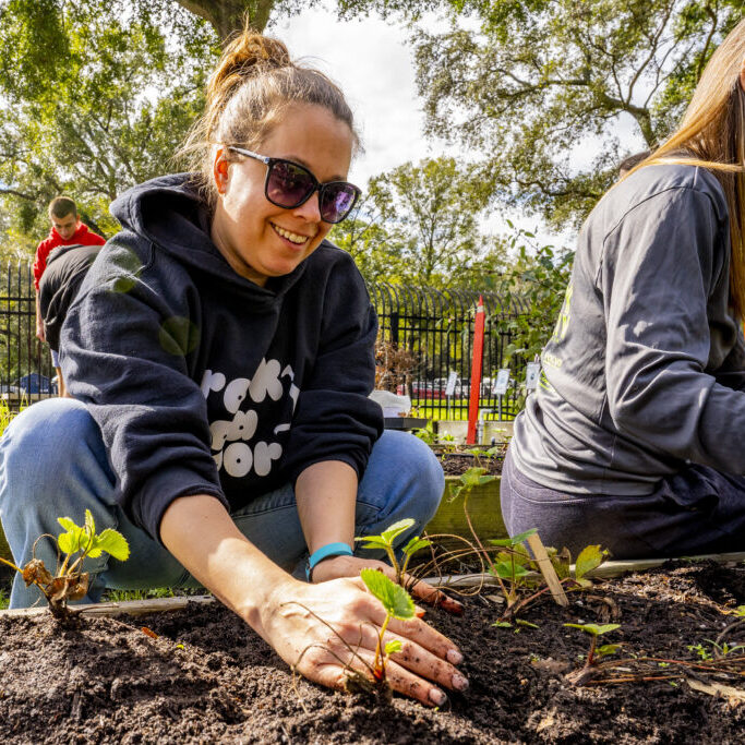 A community of people come together to take care of a community garden in Tampa, Florida