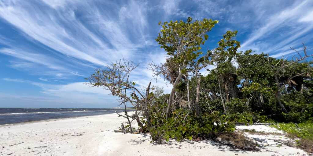 Photo of beach at Delnor wiggins pass state park for the Florida Nature Events in September