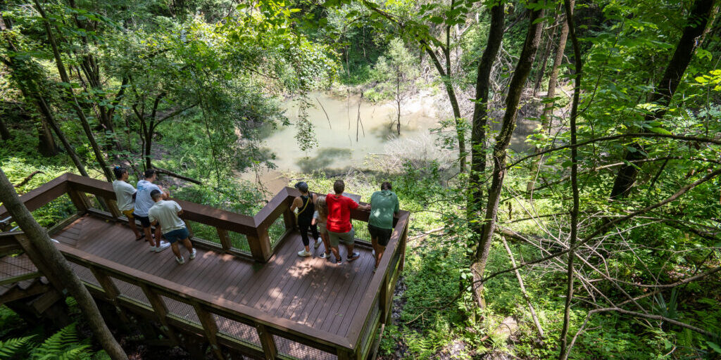 Devils Millhopper Geological State Park - Credit Sara Sheehy Live Wildly