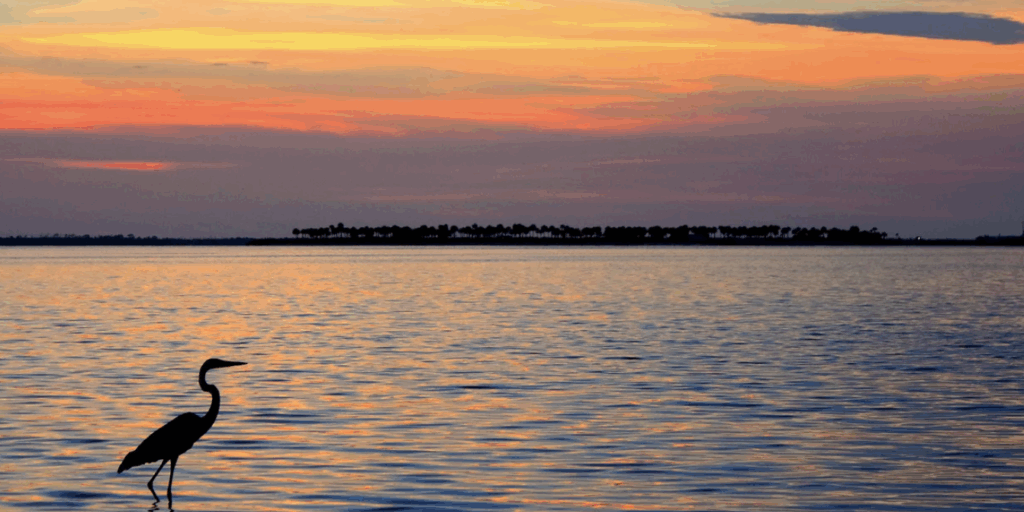 Florida Nature Events in August