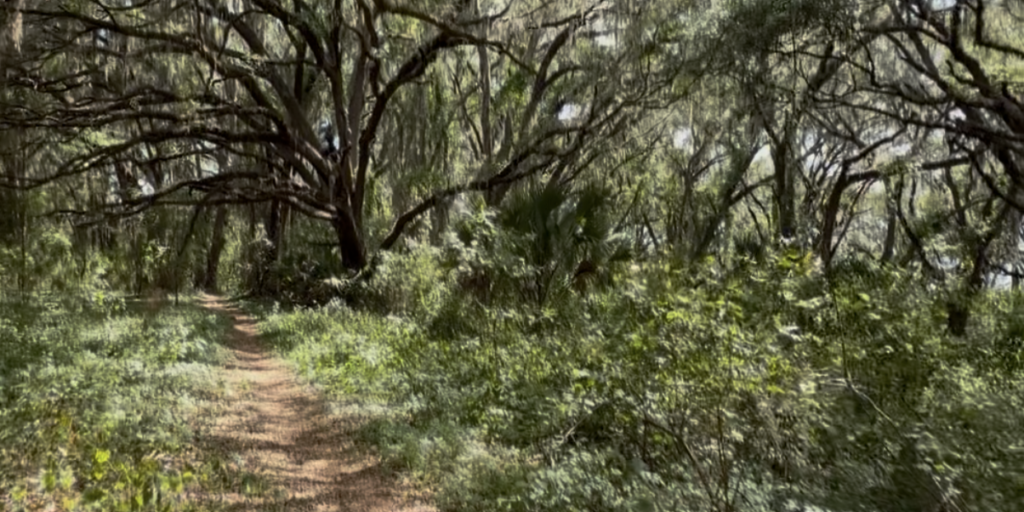 Six Ways to Explore the Cross Florida Greenway