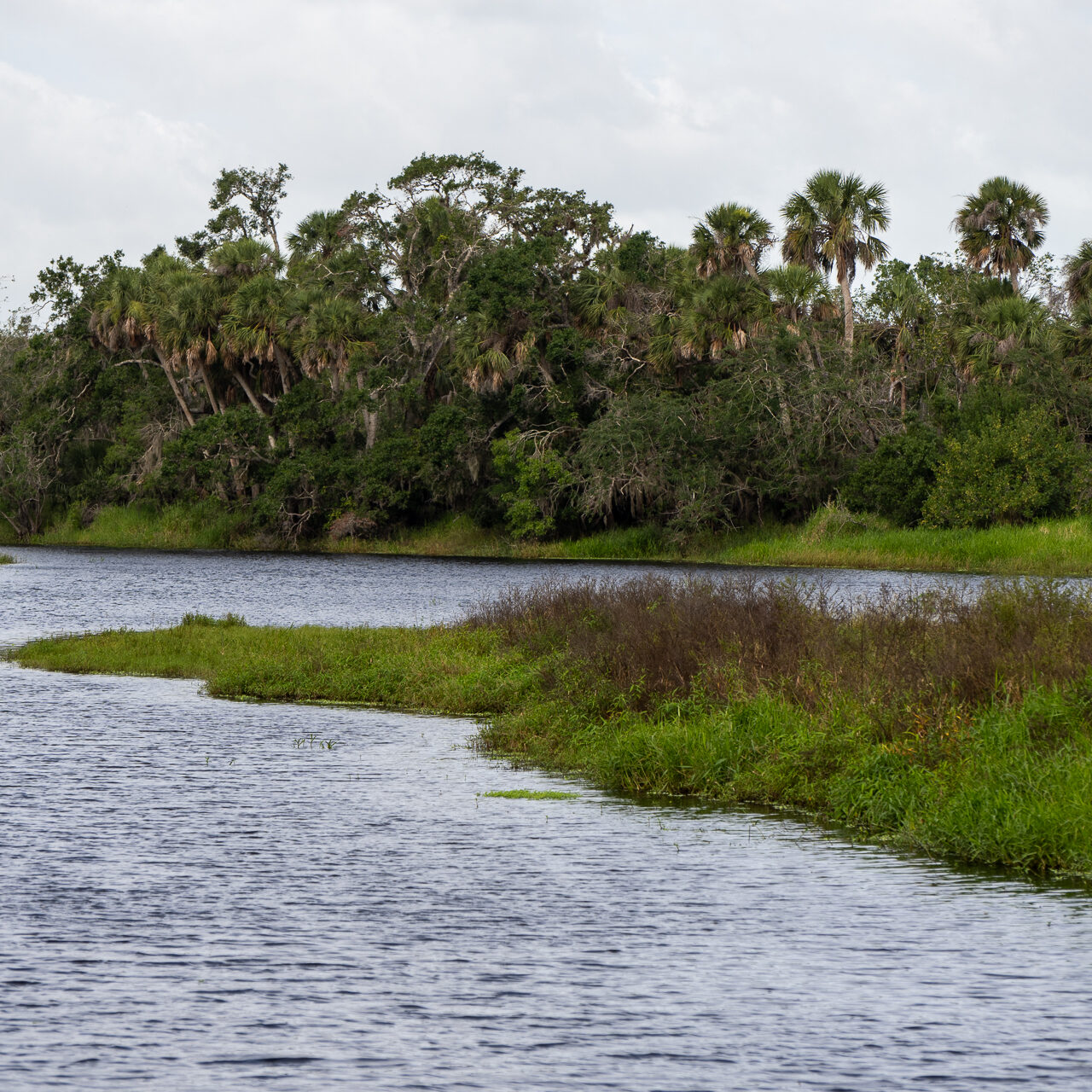 Myakka River