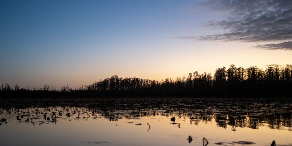 Photo of a dark blue and light orange sunset at the top, a treeline in the middle and the sunset reflected in the okefenokee swamp at the bottom For the article Florida Nature Events This July