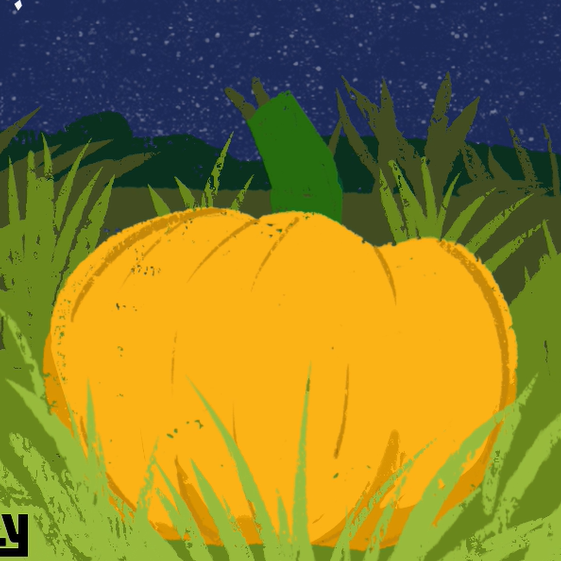 Pumpkin in a pumpkin patch