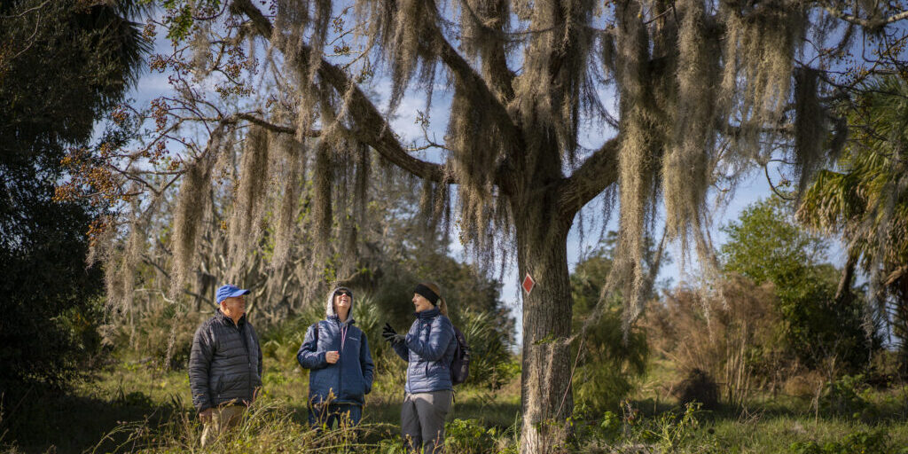 Florida Nature Events in November