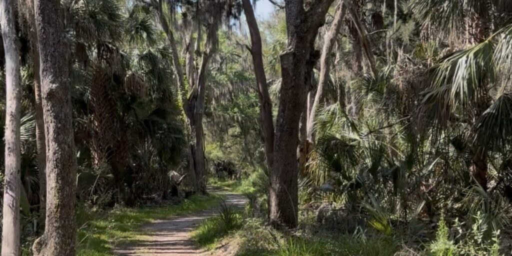 St Johns County Hidden Trails