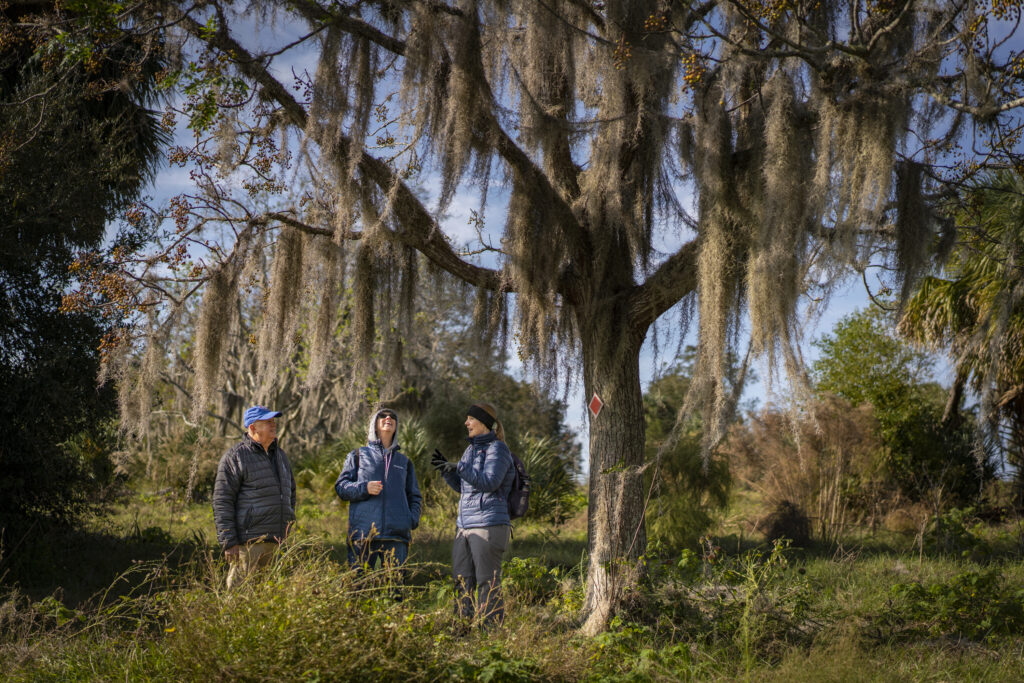 Florida Nature Events in November