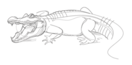Gator Sketch