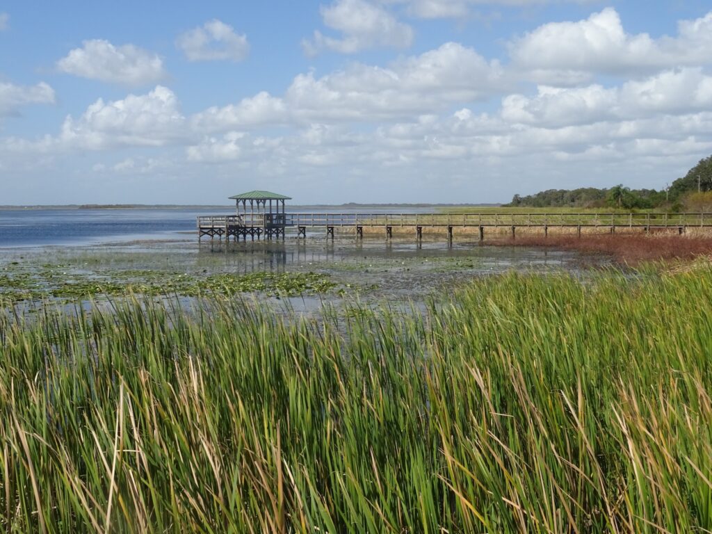 Image of a dock on public land in Florida