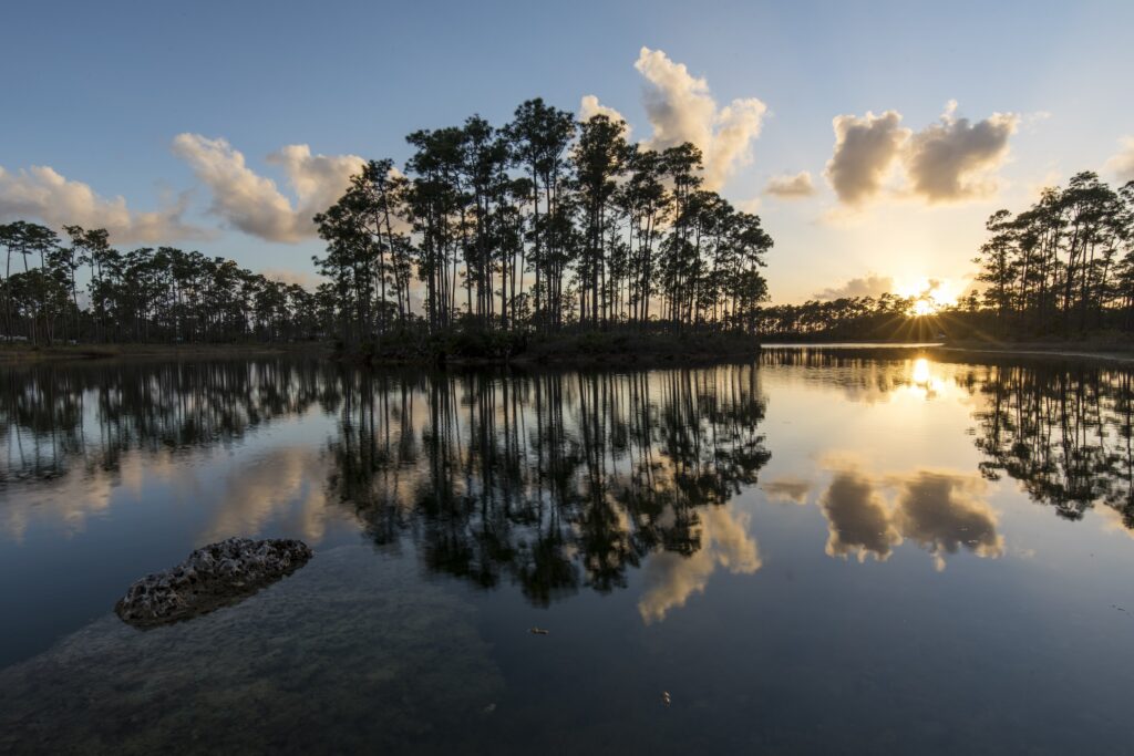 Long Pine Key
