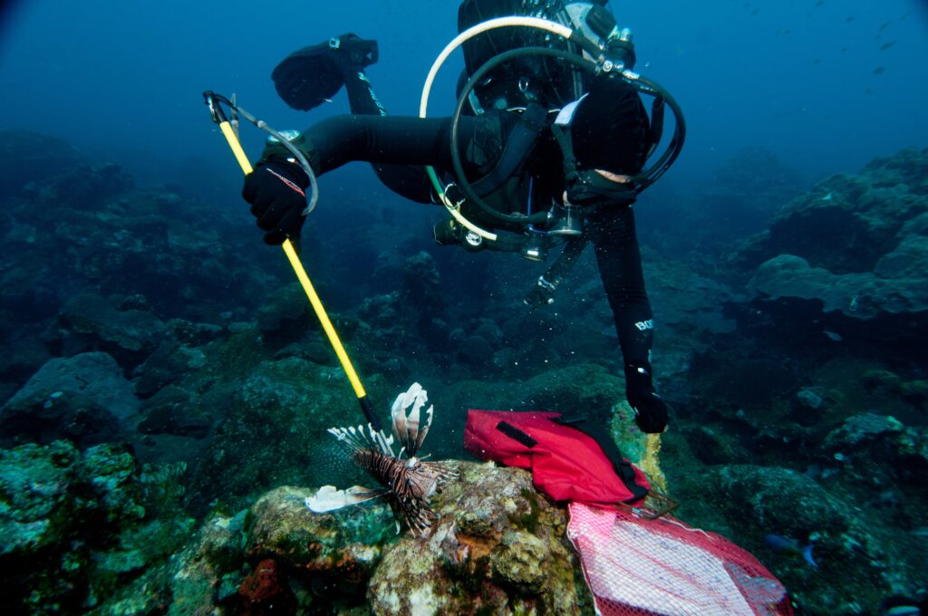 Diver with a lionfish
