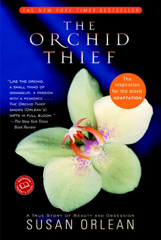 orchid thief med