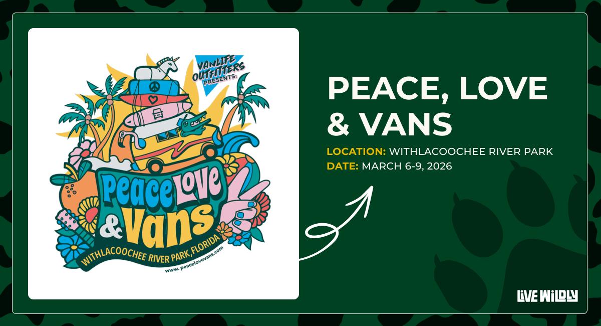 peave love vans