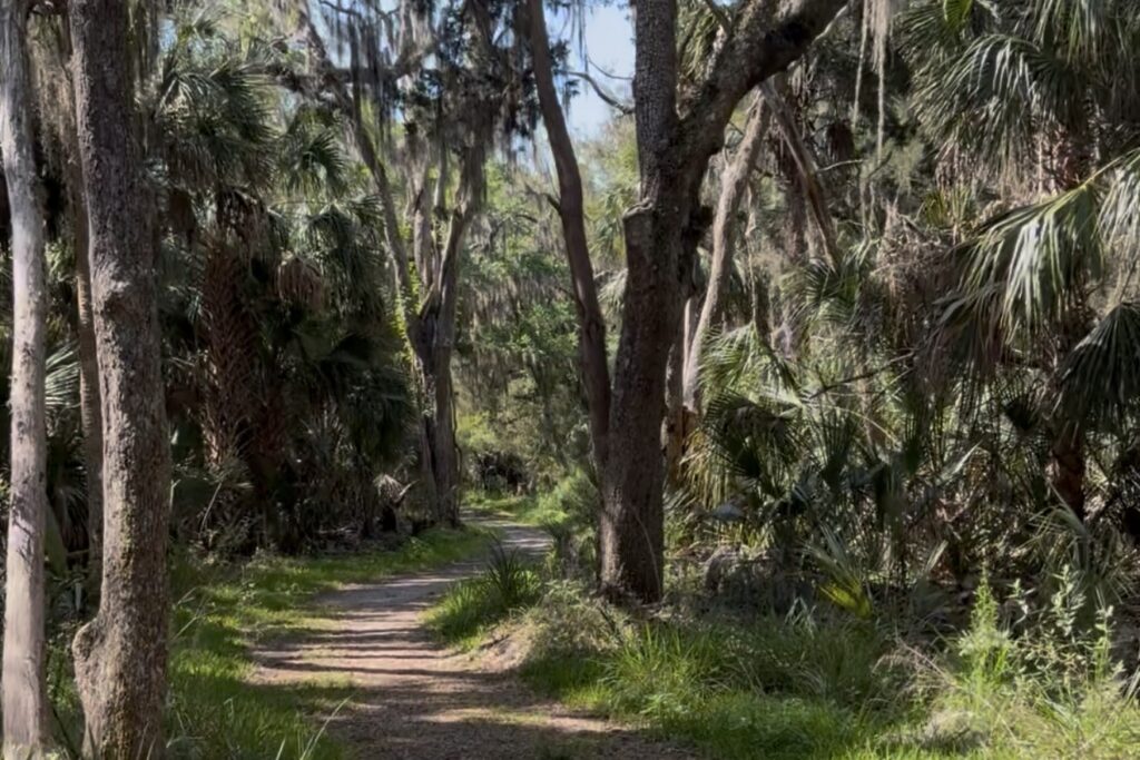 St Johns County Hidden Trails