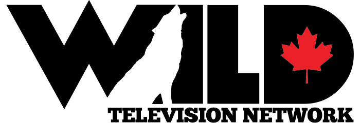 wild-tv-network-logo